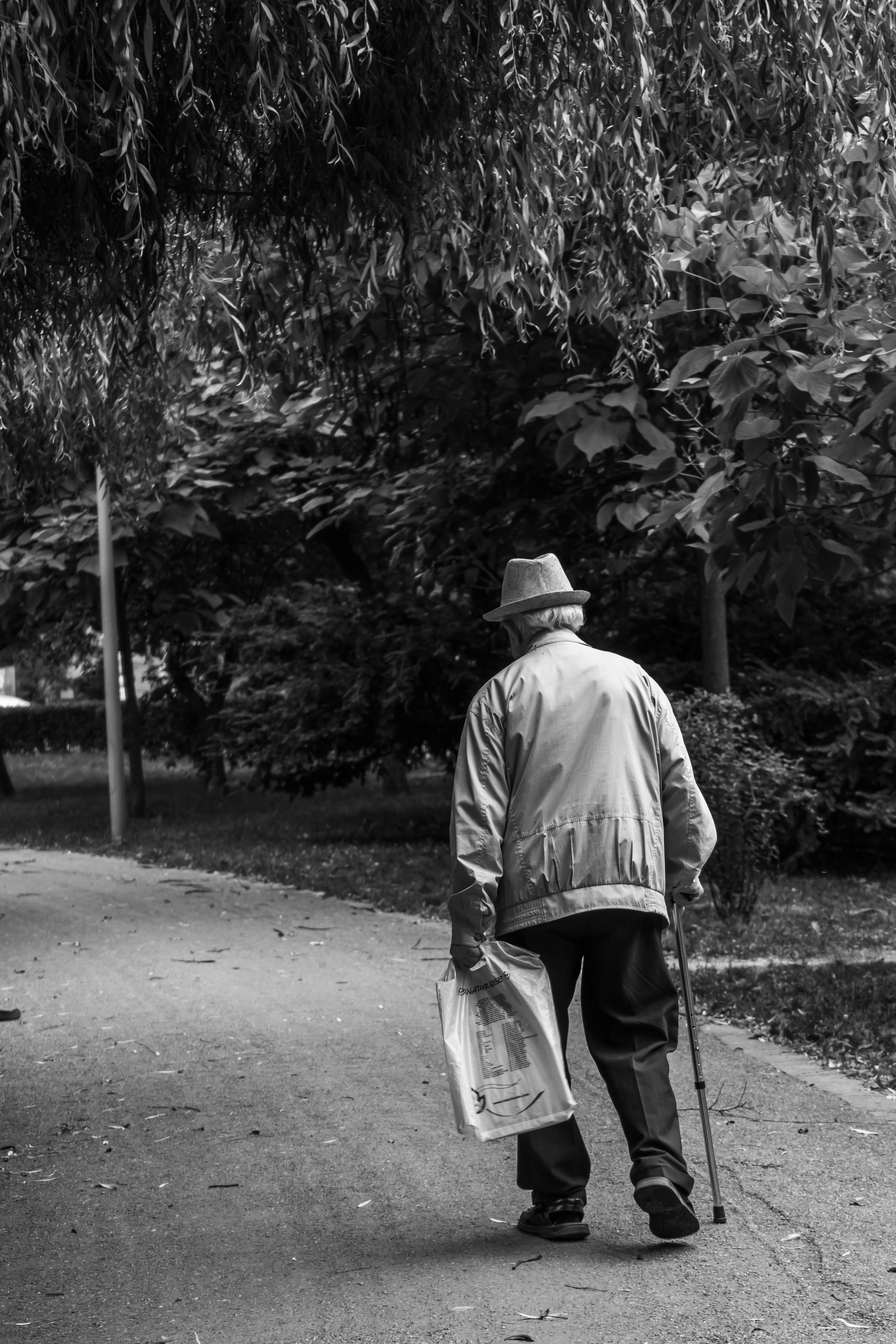 grayscale-back-view-photo-of-elderly-man-with-cane-walking-2586537.jpg